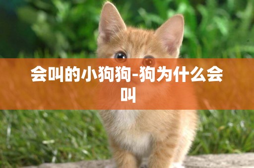 會叫的小狗狗-狗為什么會叫
