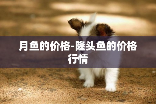 月魚的價格-隆頭魚的價格行情