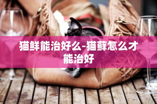 貓鮮能治好么-貓蘚怎么才能治好
