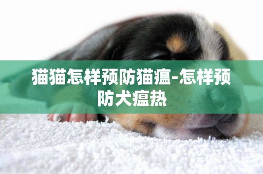 貓貓怎樣預防貓瘟-怎樣預防犬瘟熱