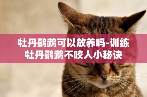 牡丹鸚鵡可以放養嗎-訓練牡丹鸚鵡不咬人小秘訣