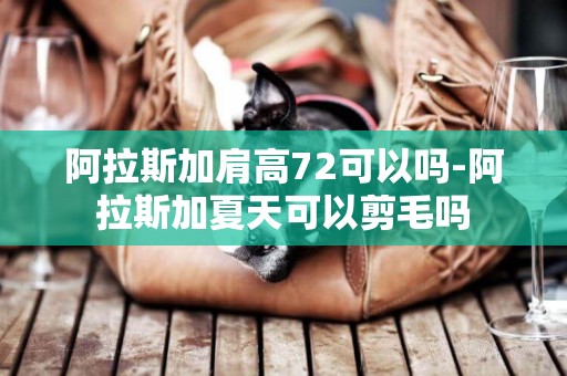阿拉斯加肩高72可以嗎-阿拉斯加夏天可以剪毛嗎