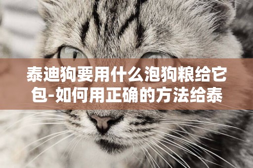 泰迪狗要用什么泡狗糧給它包-如何用正確的方法給泰迪幼犬泡著吃狗糧