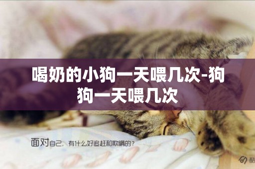 喝奶的小狗一天喂幾次-狗狗一天喂幾次
