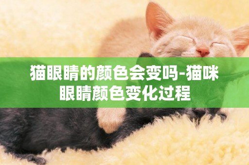 貓眼睛的顏色會變嗎-貓咪眼睛顏色變化過程