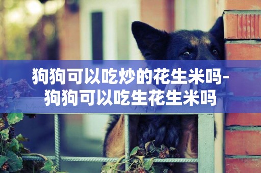 狗狗可以吃炒的花生米嗎-狗狗可以吃生花生米嗎