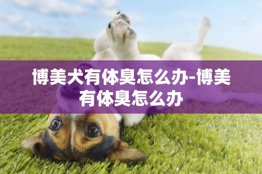 博美犬有體臭怎么辦-博美有體臭怎么辦