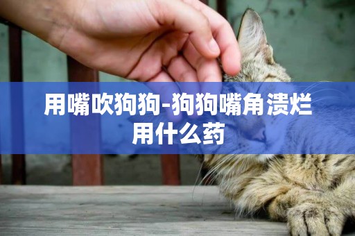 用嘴吹狗狗-狗狗嘴角潰爛用什么藥