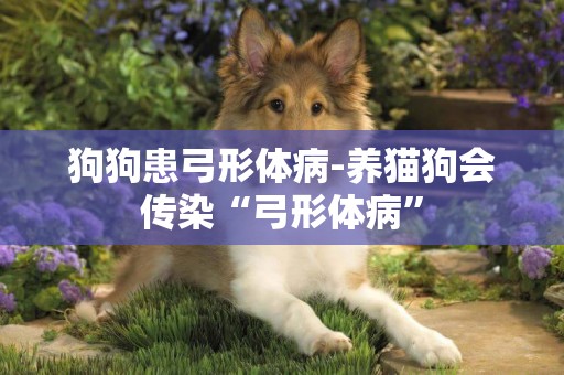 狗狗患弓形體病-養貓狗會傳染“弓形體病”