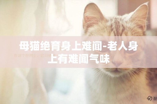 母貓絕育身上難聞-老人身上有難聞氣味