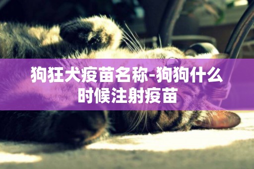 狗狂犬疫苗名稱-狗狗什么時候注射疫苗