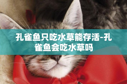 孔雀魚只吃水草能存活-孔雀魚會吃水草嗎