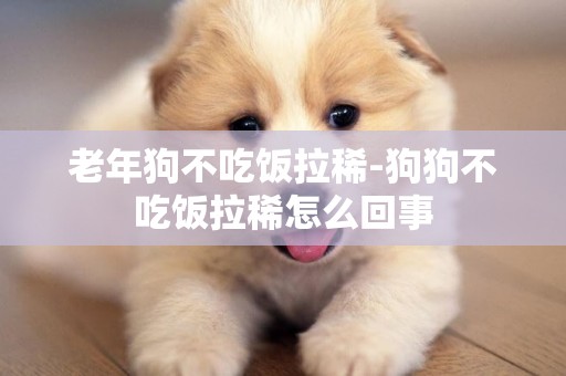 老年狗不吃飯拉稀-狗狗不吃飯拉稀怎么回事