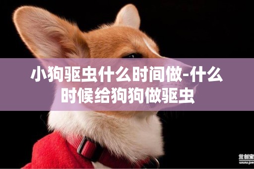 小狗驅蟲什么時間做-什么時候給狗狗做驅蟲