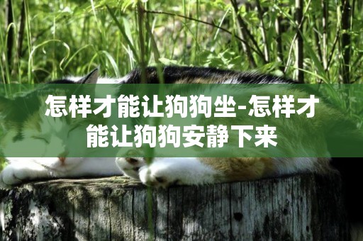 怎樣才能讓狗狗坐-怎樣才能讓狗狗安靜下來