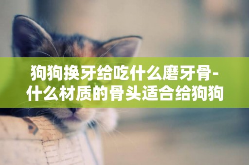 狗狗換牙給吃什么磨牙骨-什么材質的骨頭適合給狗狗磨牙