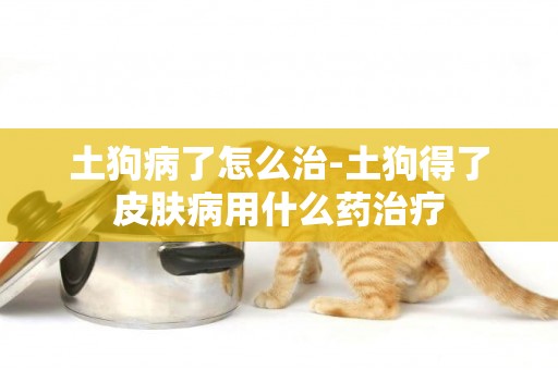 土狗病了怎么治-土狗得了皮膚病用什么藥治療