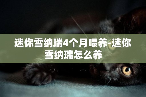 迷你雪納瑞4個月喂養-迷你雪納瑞怎么養