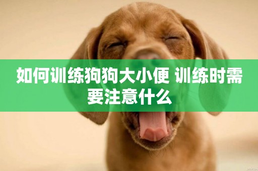 如何訓練狗狗大小便 訓練時需要注意什么