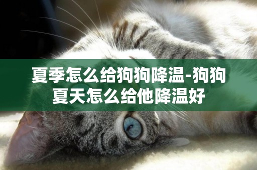 夏季怎么給狗狗降溫-狗狗夏天怎么給他降溫好
