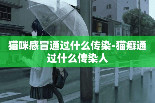 貓咪感冒通過什么傳染-貓癬通過什么傳染人