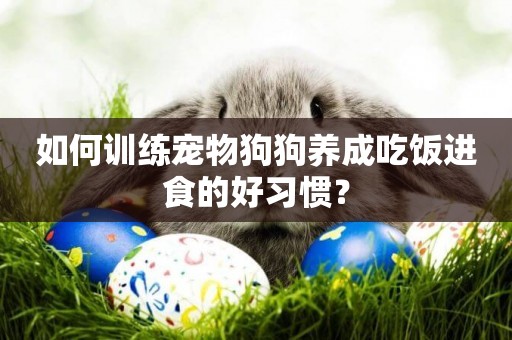如何訓練寵物狗狗養成吃飯進食的好習慣？