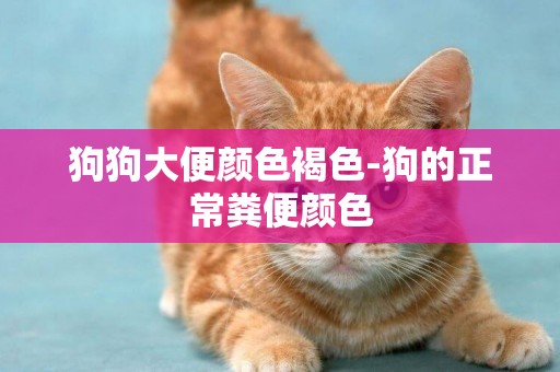 狗狗大便顏色褐色-狗的正常糞便顏色