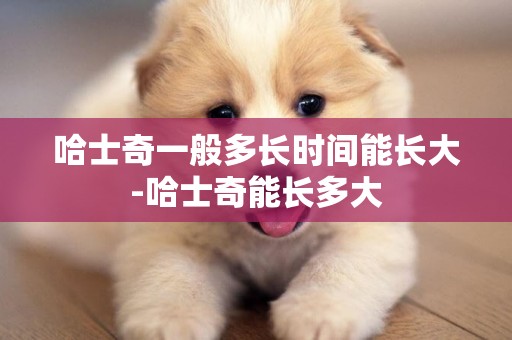 哈士奇一般多長時間能長大-哈士奇能長多大