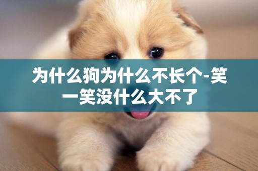 為什么狗為什么不長個-笑一笑沒什么大不了