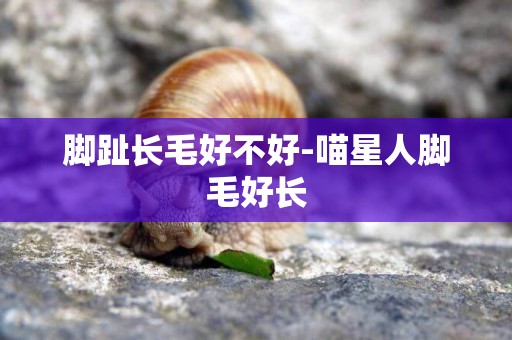 腳趾長毛好不好-喵星人腳毛好長