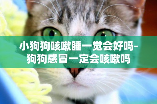 小狗狗咳嗽睡一覺會好嗎-狗狗感冒一定會咳嗽嗎