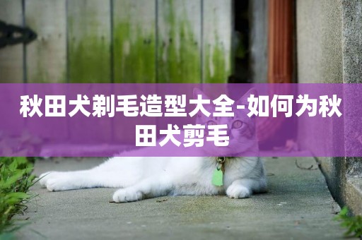 秋田犬剃毛造型大全-如何為秋田犬剪毛