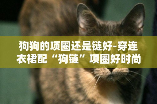 狗狗的項圈還是鏈好-穿連衣裙配“狗鏈”項圈好時尚