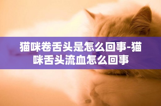 貓咪卷舌頭是怎么回事-貓咪舌頭流血怎么回事