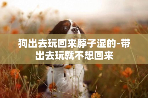 狗出去玩回來脖子濕的-帶出去玩就不想回來