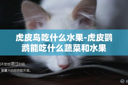 虎皮鳥吃什么水果-虎皮鸚鵡能吃什么蔬菜和水果