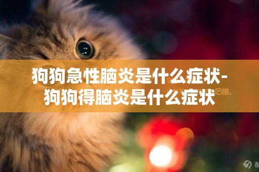 狗狗急性腦炎是什么癥狀-狗狗得腦炎是什么癥狀