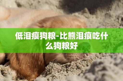 低淚痕狗糧-比熊淚痕吃什么狗糧好