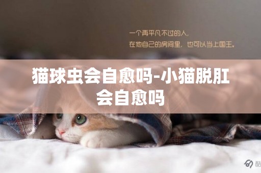 貓球蟲會自愈嗎-小貓脫肛會自愈嗎