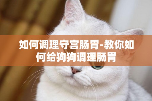 如何調理守宮腸胃-教你如何給狗狗調理腸胃