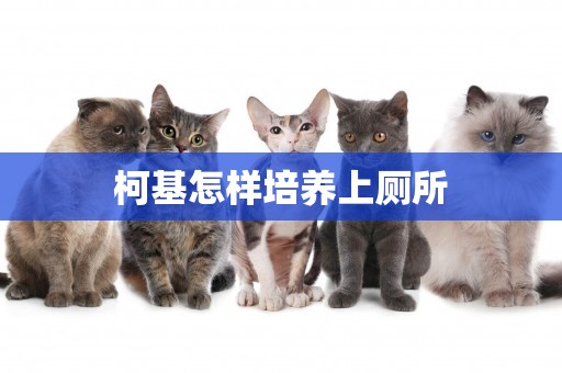 柯基怎樣培養上廁所
