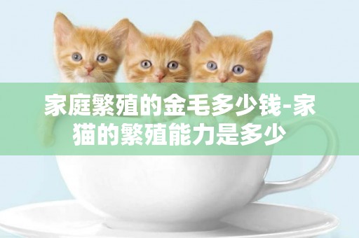 家庭繁殖的金毛多少錢-家貓的繁殖能力是多少