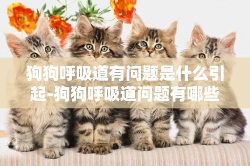 狗狗呼吸道有問題是什么引起-狗狗呼吸道問題有哪些