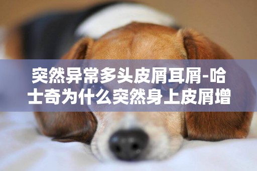 突然異常多頭皮屑耳屑-哈士奇為什么突然身上皮屑增多