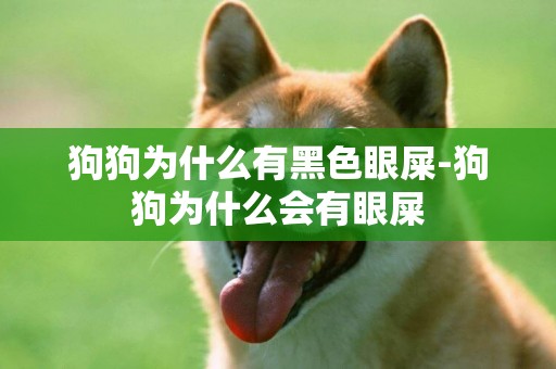 狗狗為什么有黑色眼屎-狗狗為什么會有眼屎