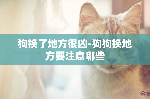 狗換了地方很兇-狗狗換地方要注意哪些