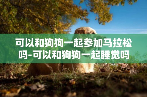 可以和狗狗一起參加馬拉松嗎-可以和狗狗一起睡覺嗎
