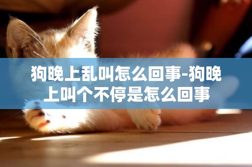 狗晚上亂叫怎么回事-狗晚上叫個不停是怎么回事