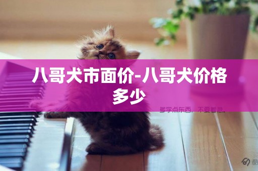 八哥犬市面價-八哥犬價格多少