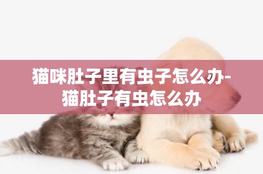 貓咪肚子里有蟲子怎么辦-貓肚子有蟲怎么辦